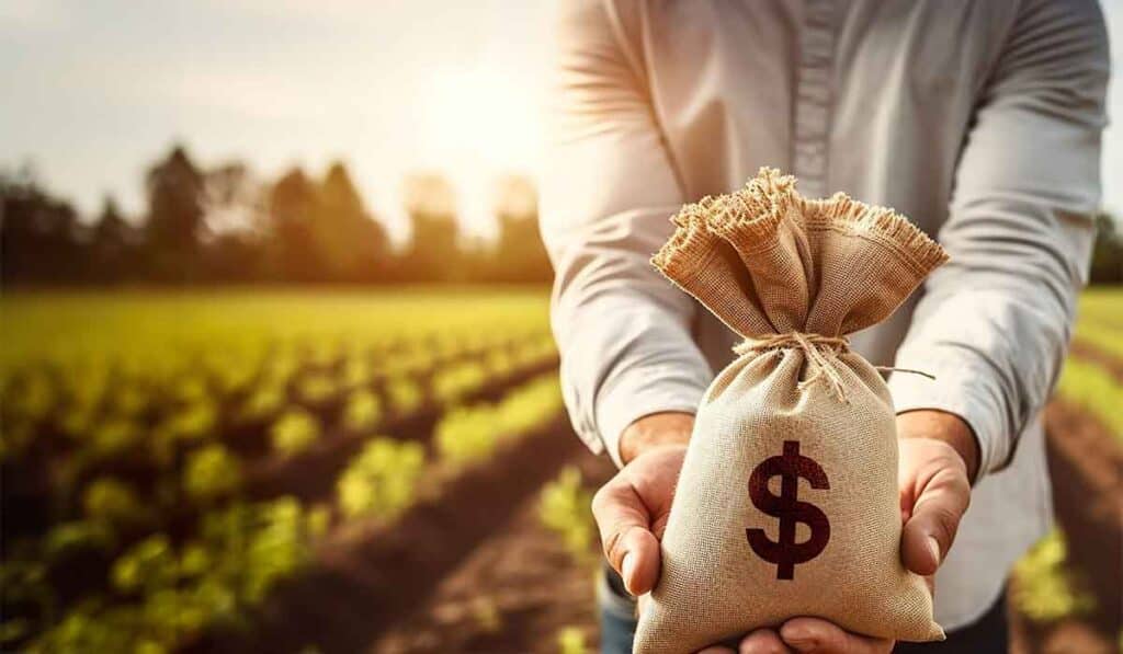 como funciona o e cred rural e como pedir emprestimo online para produtor liberar dinheiro rapido hoje