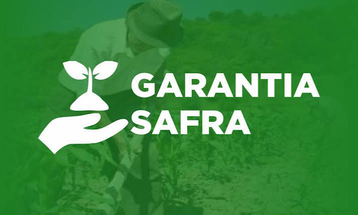 Seguro Safra: como consultar o benefício pelo CPF