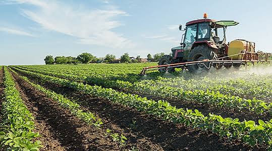 Crédito rural: quem tem direito e como solicitar